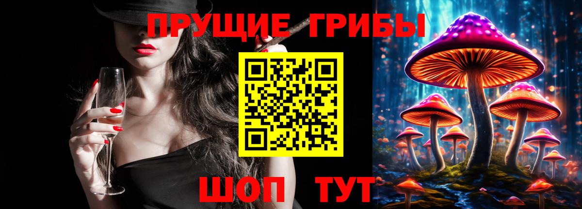 Галлюциногенные грибы Psilocybe  Вход с VPN  Псилоцибиновые грибы ЛСД  Зеленодольск 