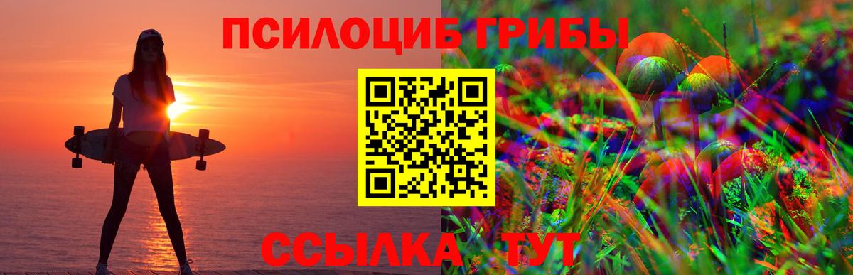 Псилоцибиновые грибы ЛСД Зеленодольск